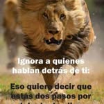 hugo Armando cabo de vila - @hugoarmandocabodevila - Instagram