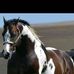 Armando Camarillo - Facebook