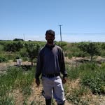 Armando Camarillo - @armando.camarillo.5264 - Instagram