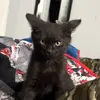 Armando - @armando.caraveo - TikTok