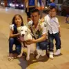 armandocarrielgo1 - @armandocarrielg1 - TikTok