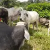 Armando Cartagena - @armando.cartagena - TikTok