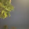 armandocash - @armandocash - TikTok