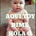Armando Casimiro - @armando_casimiro - Instagram