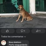 Armando Castañon - @armando.castanon.75286 - Instagram