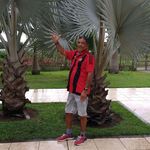 Armando Castelo - @armando.castelo.148 - Instagram