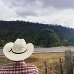 Armando Castelo - @armando_castelo007 - Instagram