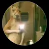 caberos - @josearmandocavero2 - TikTok