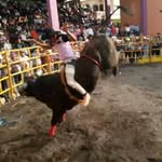 Armando Cazarez - @rebeldeo - Instagram