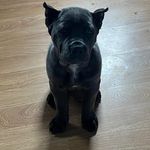 Armando Cedano - @mando321123 - Instagram
