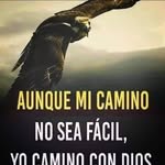 Armando Cedeño - @armandocedeno78 - Instagram