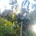 Armando Celis - Facebook