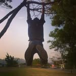 Armando Centeno - @centeno3471 - Instagram