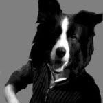 Armando Cera - @armandaccio - Instagram