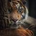 Armando Cervera - Facebook