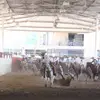 armandocervera53 - @armandocervera53 - TikTok