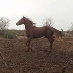 Armando Ceseña - @armando.cesena.505 - Instagram