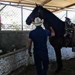 Armando Lizárraga Ceseña - @arm_andolizarraga - Instagram