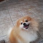 Armando Cespedes - @armando.cespedes_ - Instagram