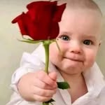 Armando Chang - @armando.chang.338 - Instagram