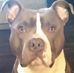Armando Chapa - Facebook