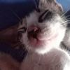 Armando Charles Alegria - @armando.charles.a - TikTok