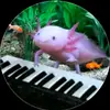 Armando Chavarin - @armando.chavarin8 - TikTok