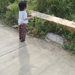 Armando Ching - @armandiching - Instagram