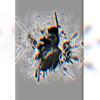 Armando CH - @armando_chiu - TikTok