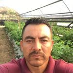 Cesar Armando Torres Cibrian - @cesararmandotorrescibrian - Instagram