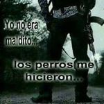 diego armando cibrian cruz - @diegoarmandocibri - Instagram