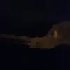 armandocimar - @armandocimar - TikTok