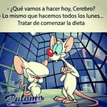 Diego Armando Ciprian - @cipriandiegoarmando - Instagram