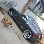 Armando Claro - @claro.armando - Instagram