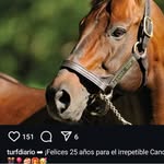 Armando Claudio Glades - @gladesarmandoclaudio - Instagram