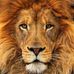 Armando Cocom - Facebook