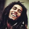 user3405087253732 - @armando.collins - TikTok