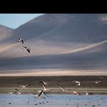 Armando Condori - @armandocondori73 - Instagram