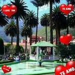 Armando Condori - @armando.condori.75873 - Instagram