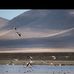 Armando Condori - Facebook