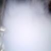 Armando Conrado - @armando.conrado - TikTok