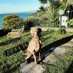 Armando Gherardi - @armando.cooper.3910 - Instagram