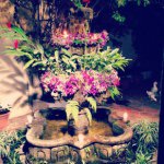 Armando Cordon - @armandocordon - Instagram