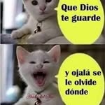 Jose Armando Canizales Corpus - @canizalescorpus - Instagram