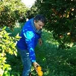 Corrado Armando Albanese - @corradoarmando - Instagram