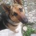 Armando Couto - Facebook