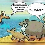 armando couto - @carloscouto2906 - Instagram