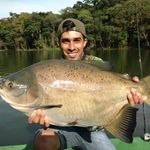 Armando Francisco Couto - @armandofranciscocouto - Instagram