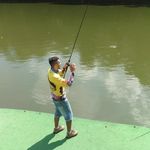 Armando Francisco do Couto - @armandofranciscodocouto - Instagram