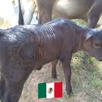 Armando Cristobal - @armando.cristobal.315 - Instagram